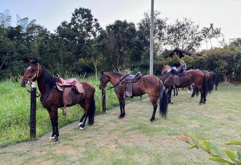 בית מלון כפרי Criadero Las Tres Marías Hospedaje Rural Mi Refugio