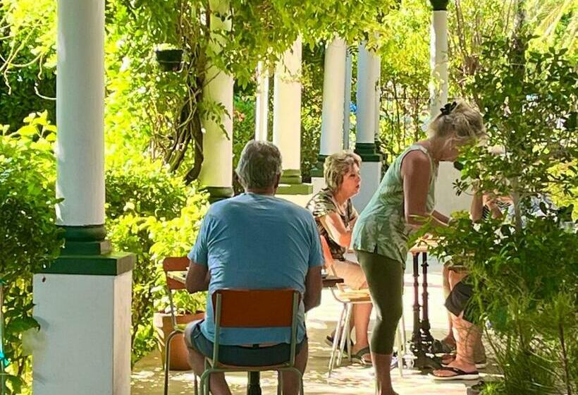 مبيت وإفطار De Stoep