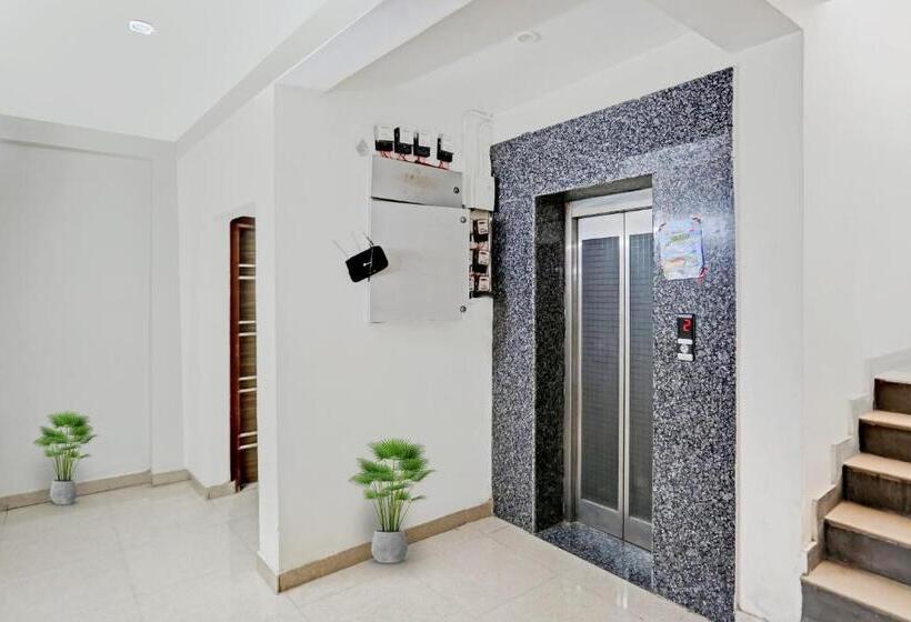 Hotelli Collection O Daffodils