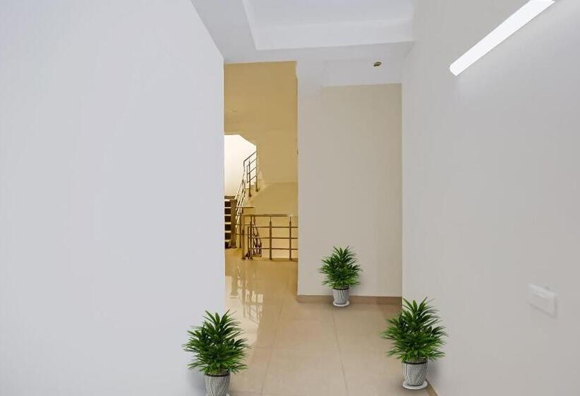 Hotelli Collection O Daffodils