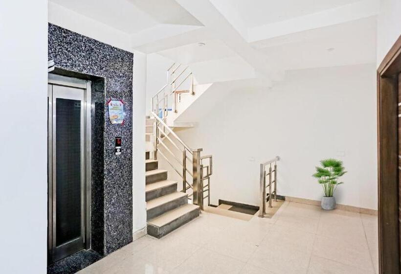 Hotelli Collection O Daffodils