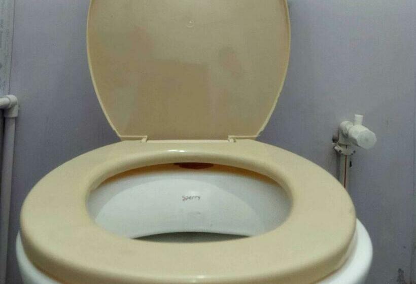 בית מלון כפרי Oyo 70099 Blue Star Rr