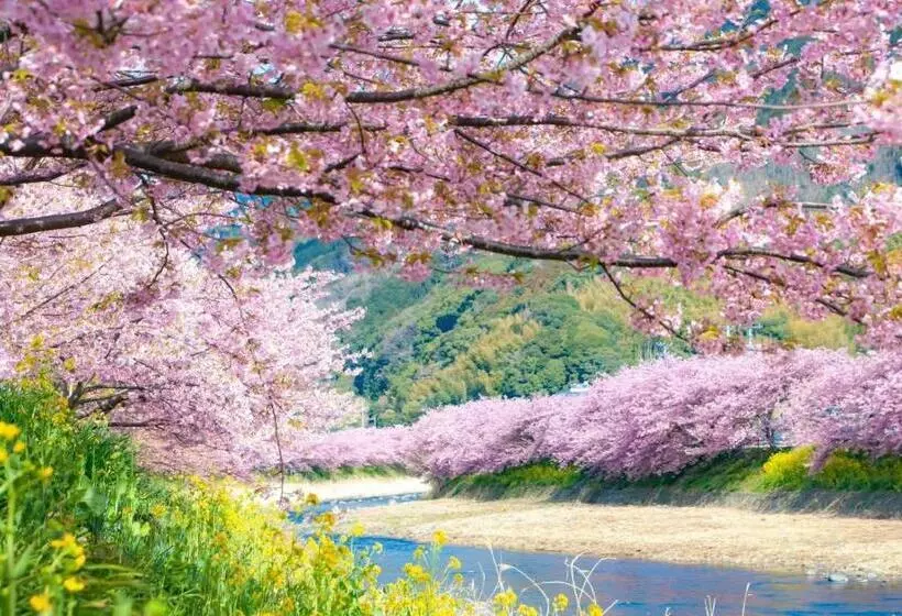 地中海の家
