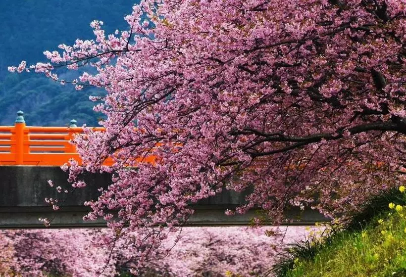 地中海の家