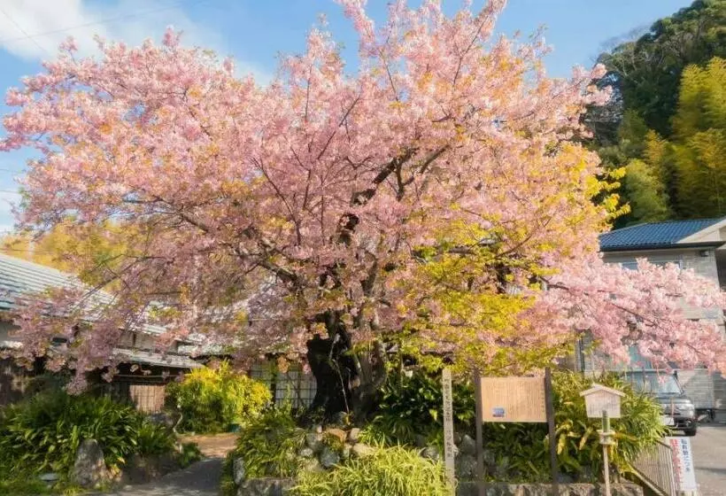 地中海の家