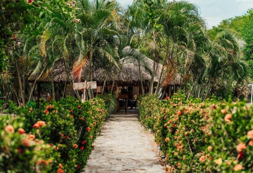 Panzió Jaba Jan Hostal