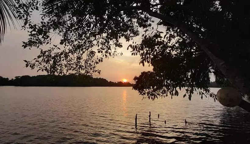 پانسیون Ayura Lagoon Resort