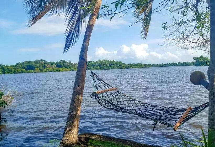پانسیون Ayura Lagoon Resort