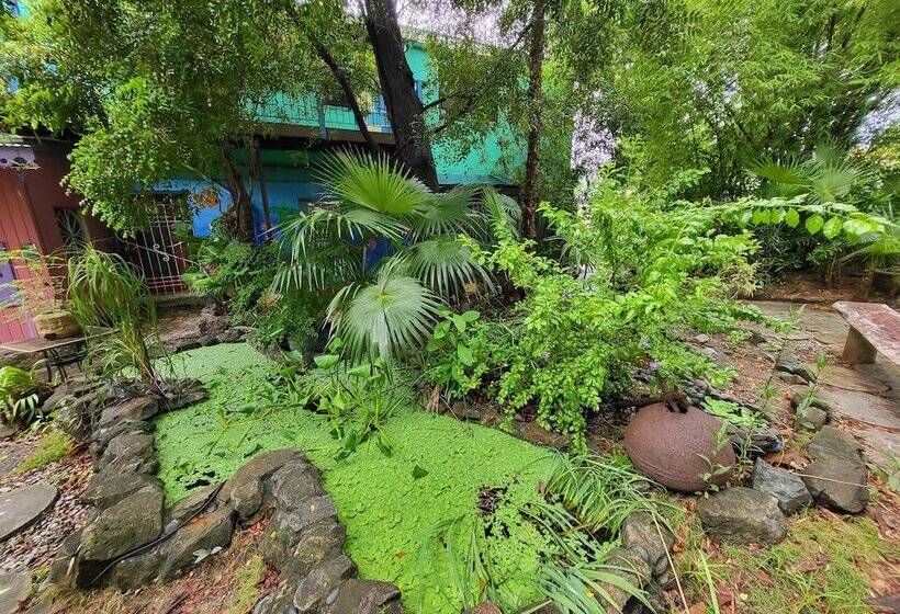 هاستل Tillett Gardens Guest House