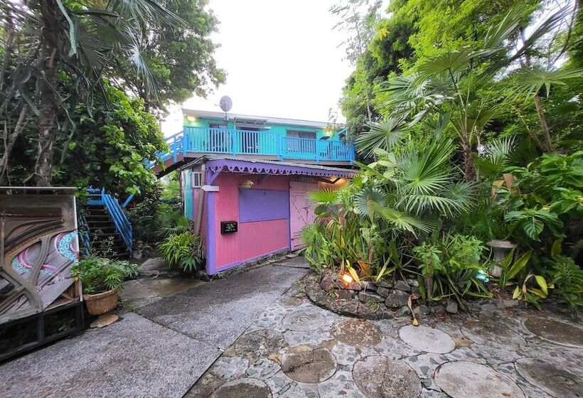 هاستل Tillett Gardens Guest House