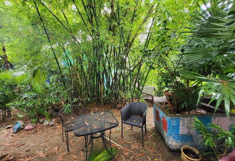 هاستل Tillett Gardens Guest House