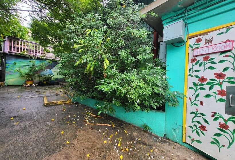 هاستل Tillett Gardens Guest House