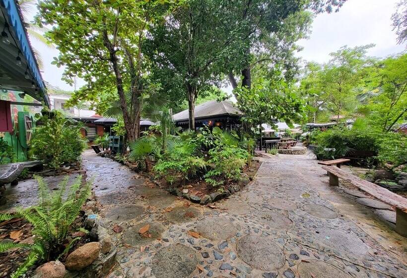 هاستل Tillett Gardens Guest House