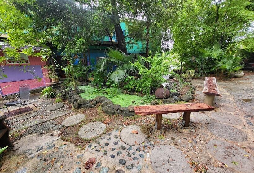 هاستل Tillett Gardens Guest House