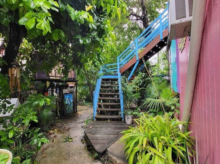 هاستل Tillett Gardens Guest House