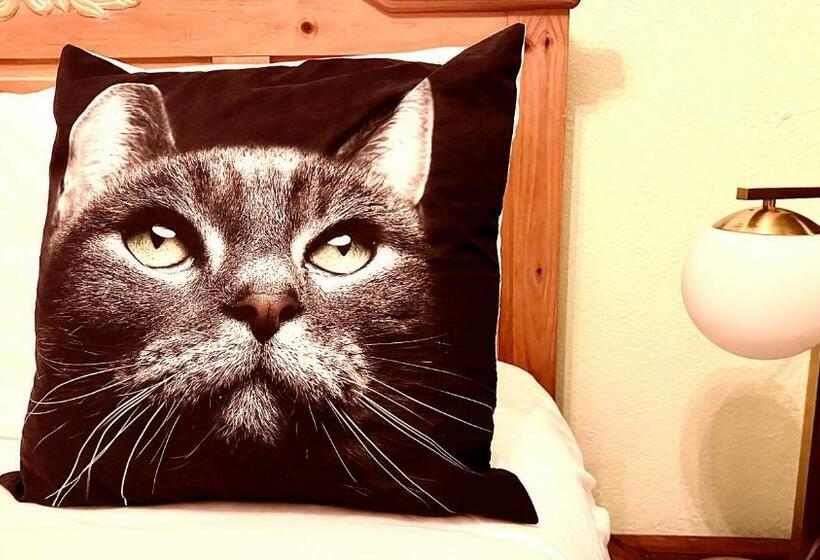 호텔 La More At The Bisbee Inn