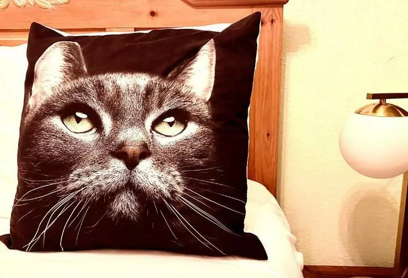 ホテル La More At The Bisbee Inn