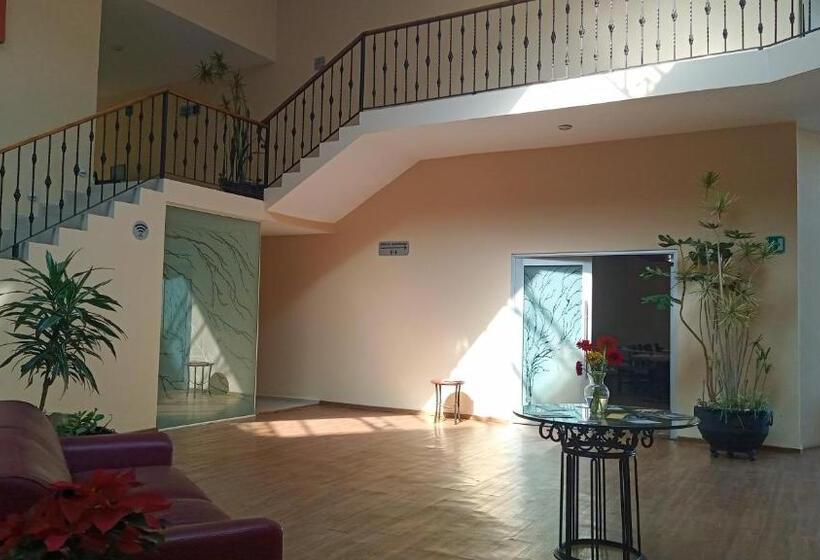 ホテル Plaza Pachuca