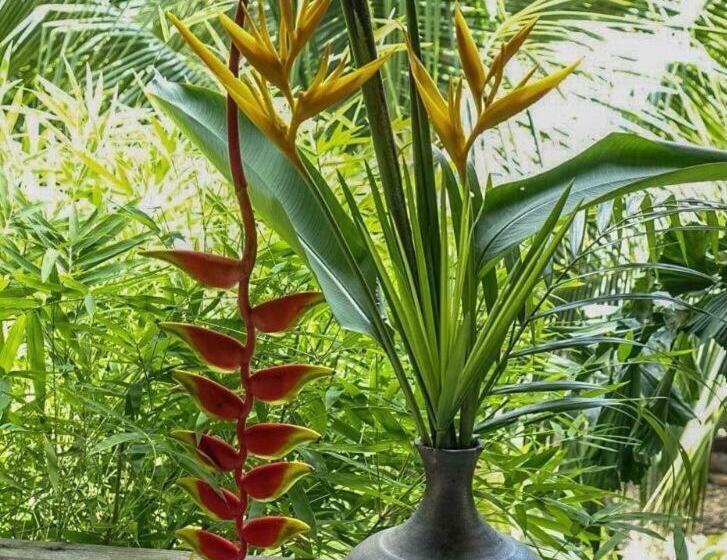 بنسيون Sala Thongyon   Guest House