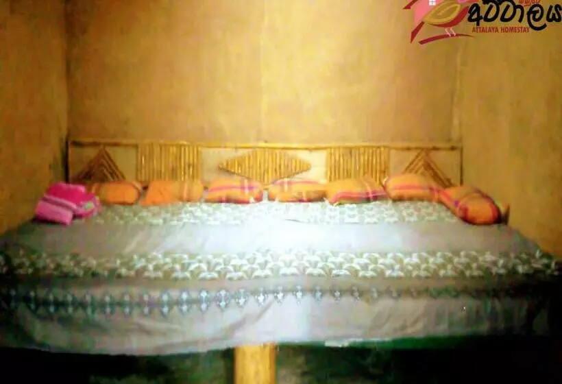 Lomakeskus Attalaya Home Stay