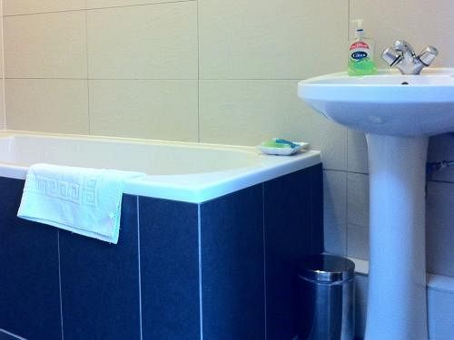 فندق Carolina Guest House