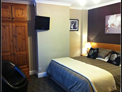 فندق Carolina Guest House