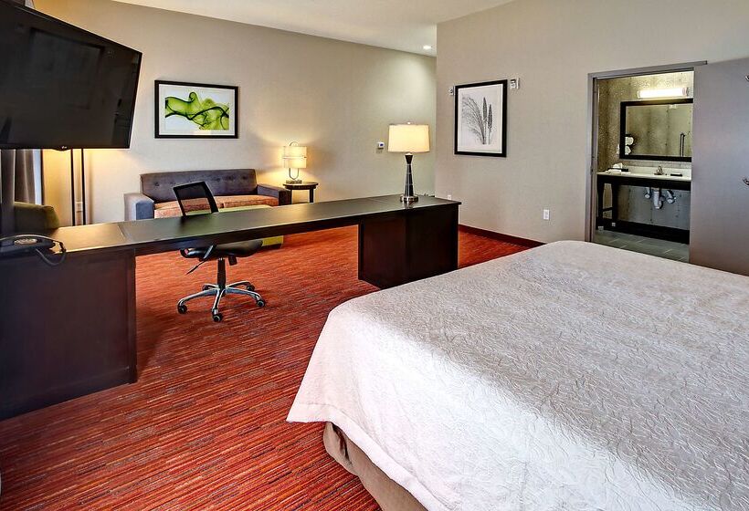 בית מלון כפרי Hampton Inn & Suites Ada