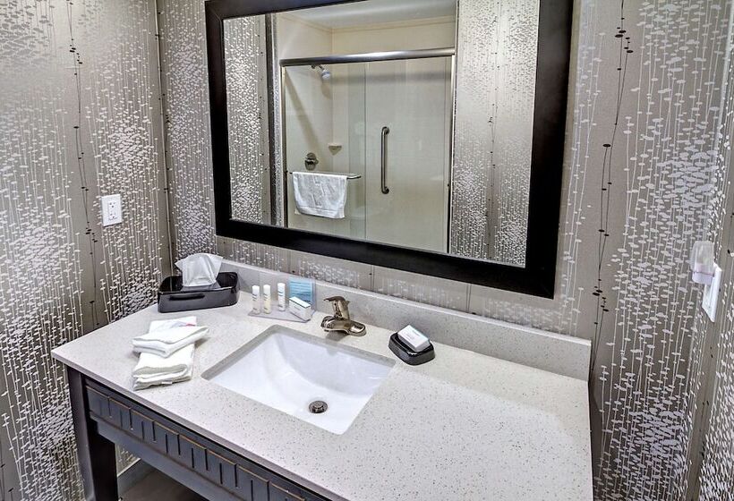 בית מלון כפרי Hampton Inn & Suites Ada