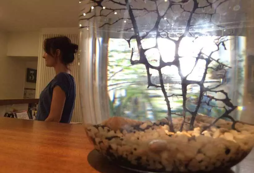 Hotel La Marine, Vieux Port