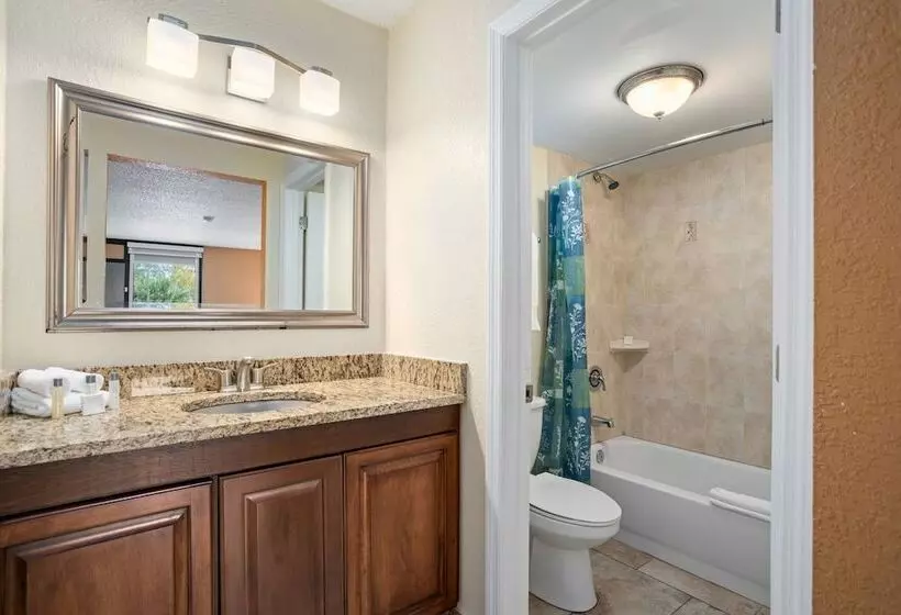 酒店 Park Royal Orlando