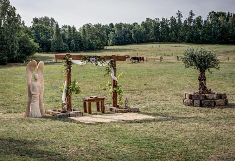 Курорт Silverstone Living