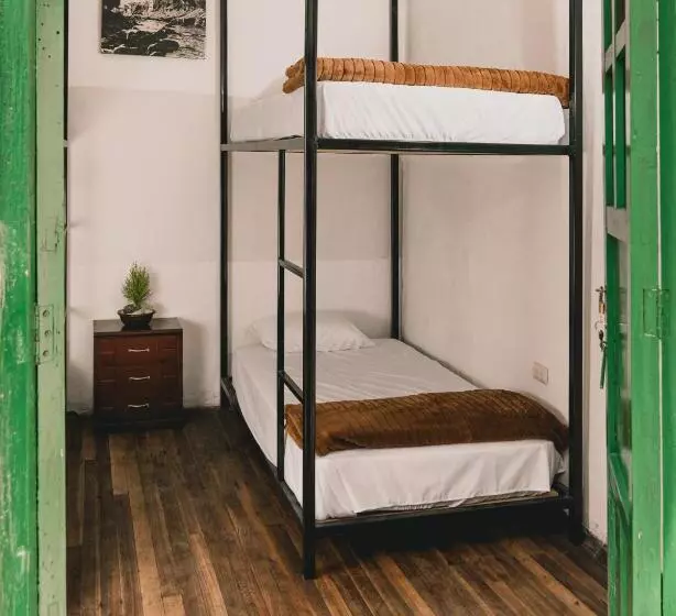 Wild Monkey Hostel