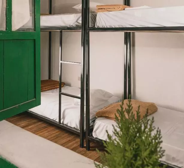 Wild Monkey Hostel