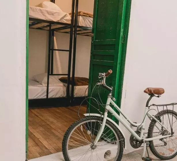 Wild Monkey Hostel