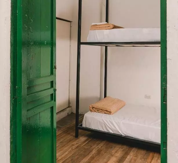 Wild Monkey Hostel
