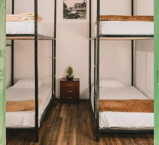 Wild Monkey Hostel