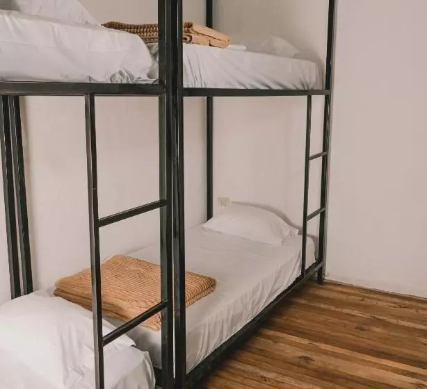 Wild Monkey Hostel