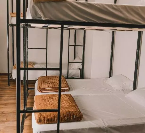 Wild Monkey Hostel