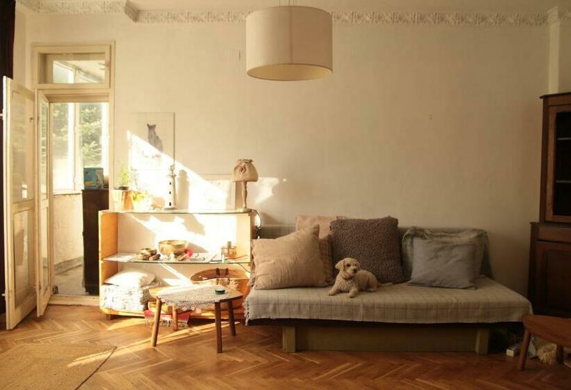 هاستل Elie S Home