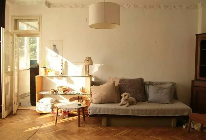 هاستل Elie S Home