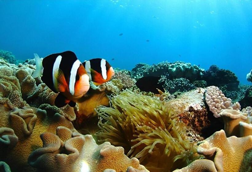 酒店 E Horizon Resort Condominium Sesoko   Vacation Stay 92887v