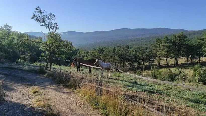 Majatalo Domaine Du Cruvelet Grand Gite