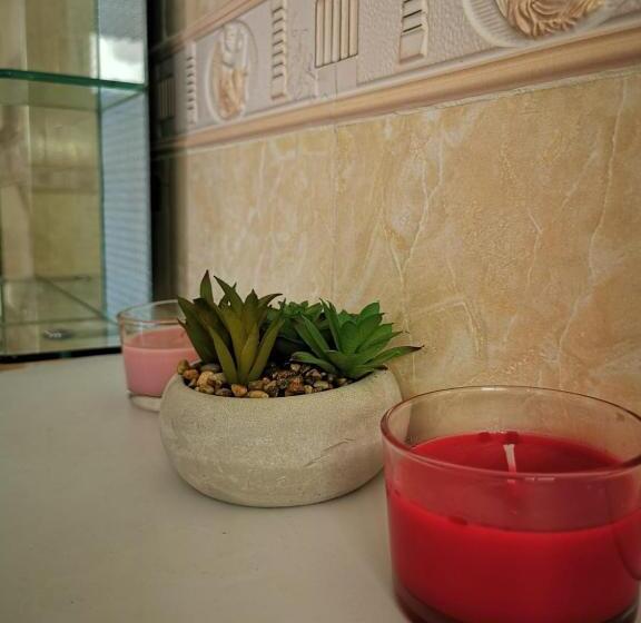 پانسیون L Address