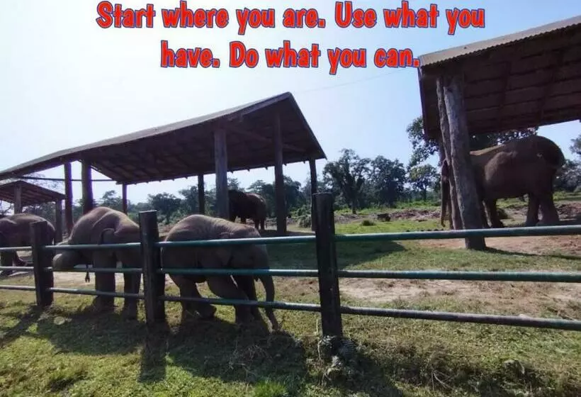 هتل Butterfly   Peaceful Garden For Nature Lovers