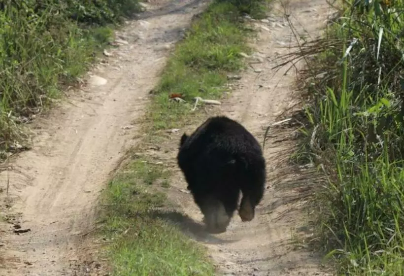 هتل Butterfly   Peaceful Garden For Nature Lovers