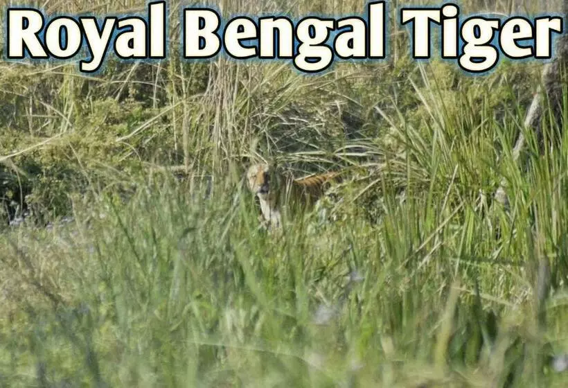 هتل Butterfly   Peaceful Garden For Nature Lovers