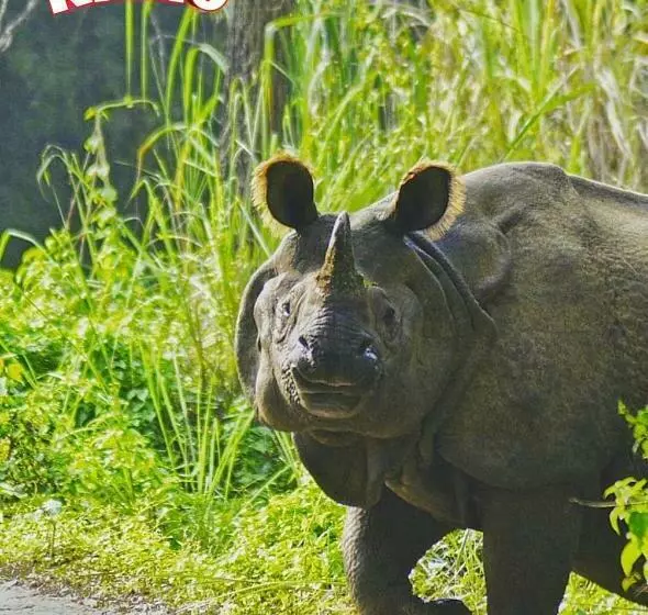 هتل Butterfly   Peaceful Garden For Nature Lovers