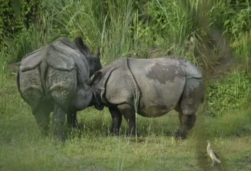 هتل Butterfly   Peaceful Garden For Nature Lovers