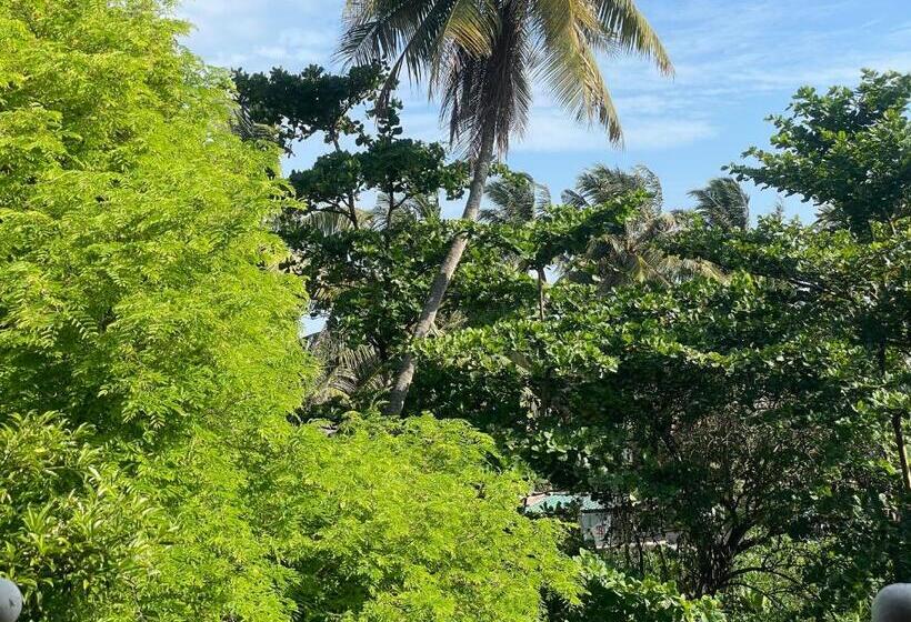 Serendipity Beach Hotel Unawatuna