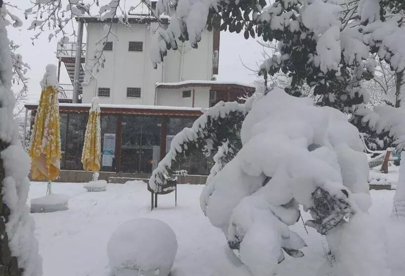 Beyazev Buti̇k Otel Maşuki̇ye